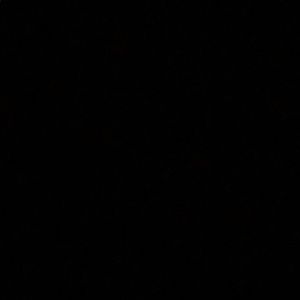 Meet your Posher, Logan